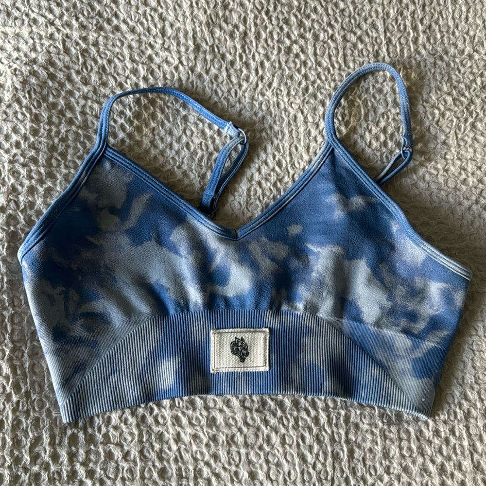 Small Darc Sport Blue Everson Bra